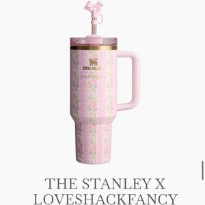 Love shack fancy X Stanley